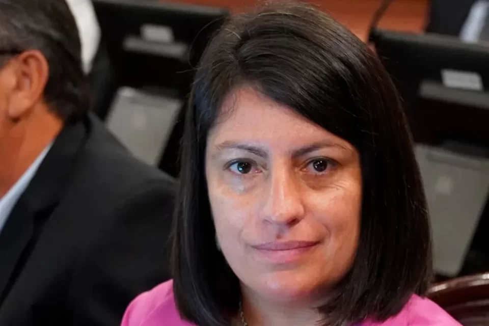 Reiterancia Delictiva: un proyecto de ley que oscila entre la “demanda de la comunidad” y “el derecho penal de autor”