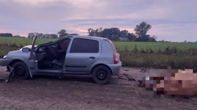 Un auto quedó destrozado y un caballo murió en un choque en General Ramírez