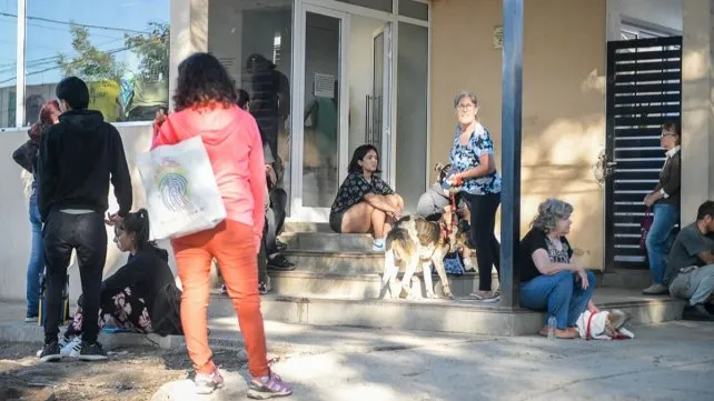 Aclaración: la Municipalidad de Paraná no brinda servicio de transporte de mascotas