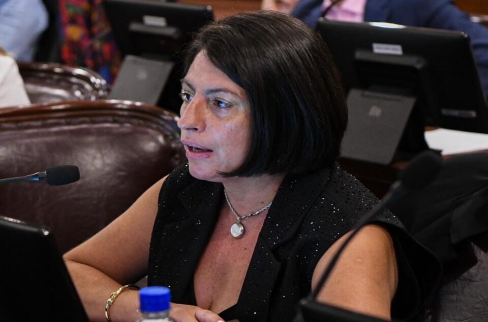 Iosper: Laner cuestionó a Oliva por «hablar de imposición desde sus vacaciones en Bolivia»