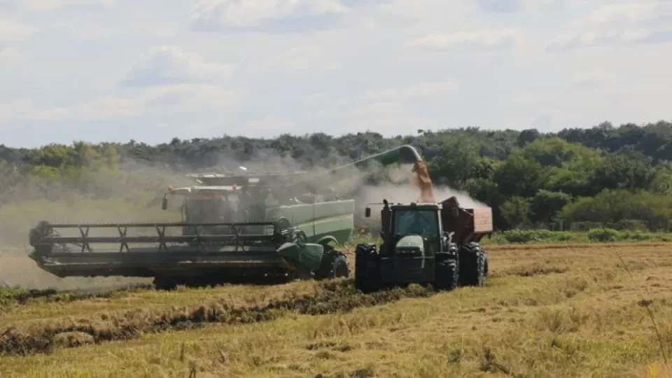 FAA Entre Ríos advirtió que con los valores actuales, el sector arrocero trabaja a pérdida