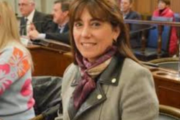 Domínguez le apuntó al PJ por la reforma previsional: «Me quieren echar por debatir mientras sus intendentes proponen reformas»