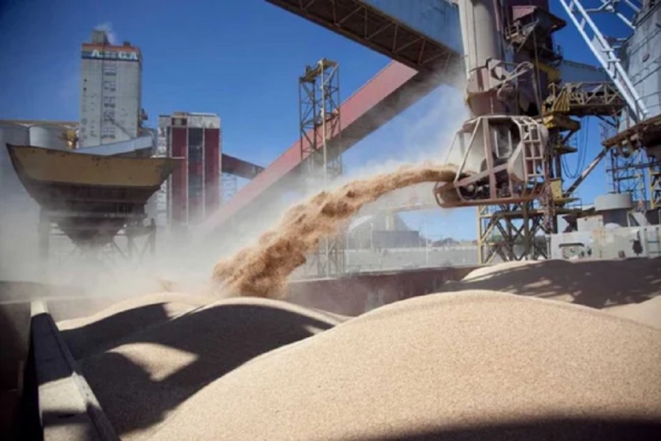 La baja de retenciones disparó la liquidación de granos