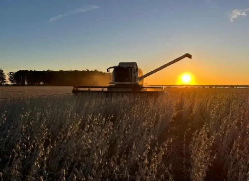 El nuevo esquema de retenciones pone en riesgo la rentabilidad de la producción agrícola entrerriana