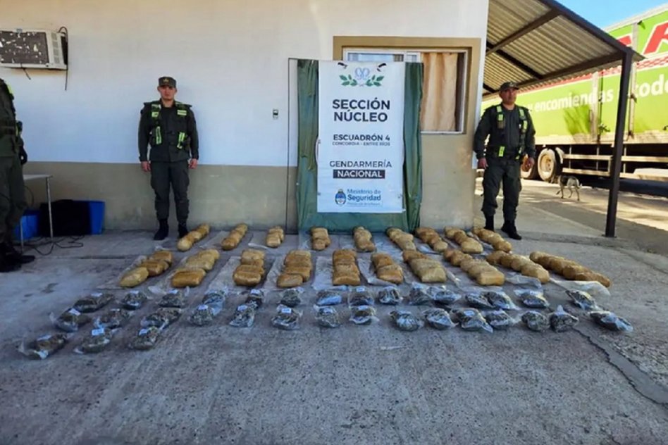 ENTREGA VIGILADA Detectan encomienda con 50 kilos de marihuana y detienen a quien la fue a retirar