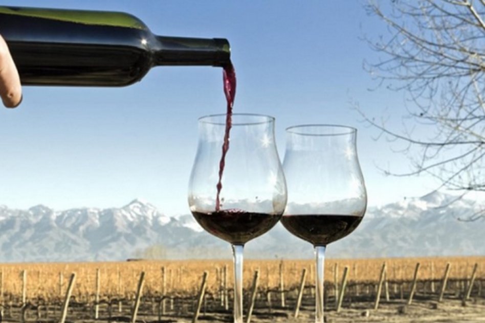 Instituto Nacional de Vitivinicultura Desregulación vitivinícola: eliminaron 973 normas