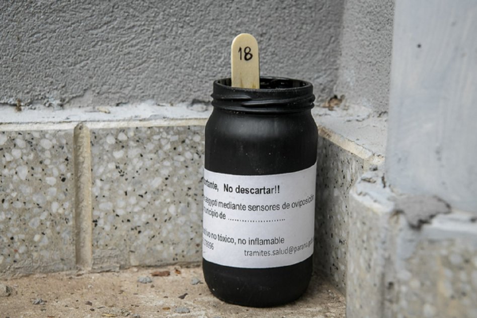 La Municipalidad instala ovitrampas para monitorear el mosquito Aedes aegypti