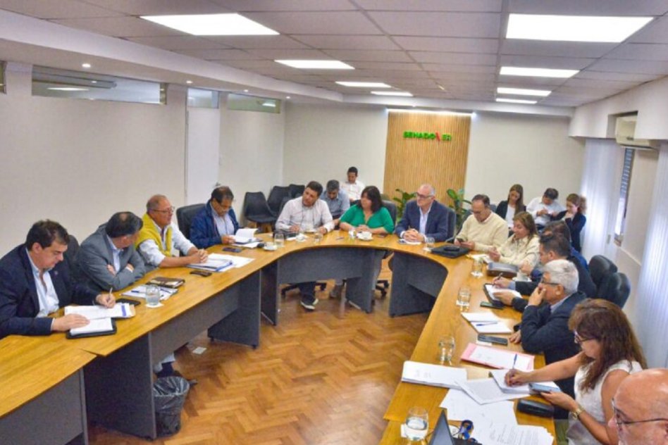 LEGISLATIVAS Comisiones: dictámenes y avances en el estudio de varios proyectos de ley