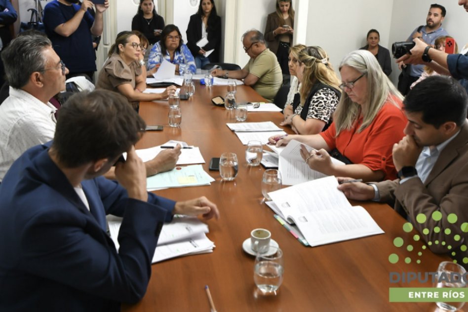 Diputados debatieron sobre educación financiera y adhesión a la Ley Nicolás