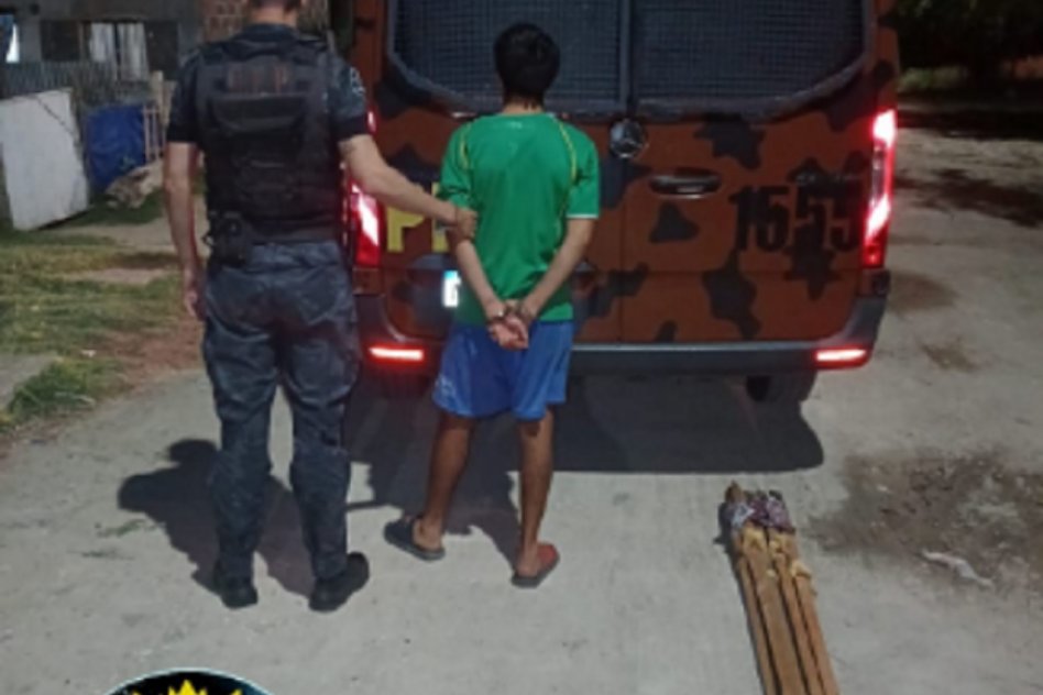 Detenido por robo de palos guías de árboles plantados