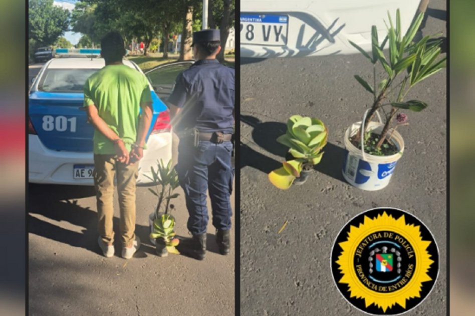COMISARÍA PRIMERA Detenido por robar plantas en una vivienda