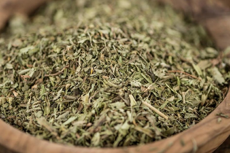 MISIONES Yerbateros suspenden la zafra de verano en rechazo a la desregulación de Milei