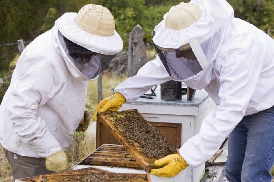 Para la Bolsa de Cereales de Entre Ríos, el acuerdo Unión Europea-Mercosur favorecerá “las inversiones productivas”