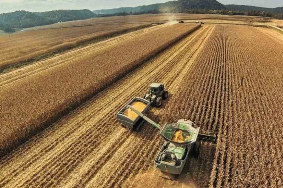 Proyectan cosecha récord de 154,8 millones de toneladas para la campaña 2025/26