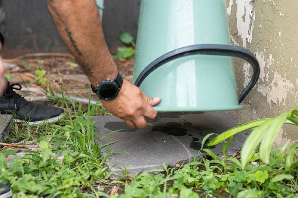 Salud recuerda la importancia de sostener el descacharrizado para prevenir el dengue