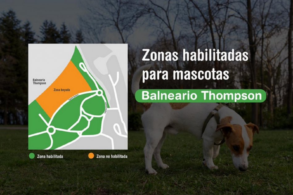 Ingreso de mascotas: el Municipio precisó los sectores habilitados en el Thompson