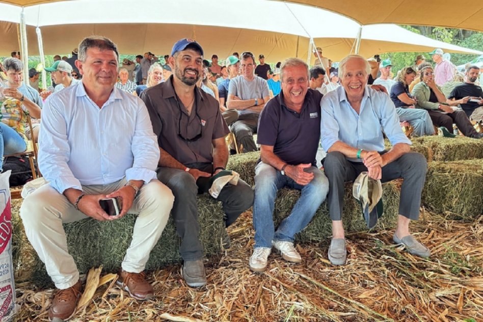 Con incentivo de políticas públicas sostenibles, Entre Ríos se encamina a una muy buena campaña maicera