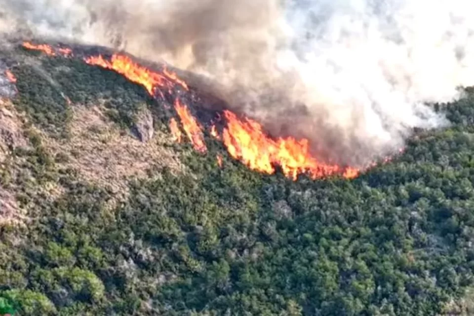 El Gobierno declaró la emergencia ígnea en Santa Cruz y extiende la zona de desastre en la Patagonia