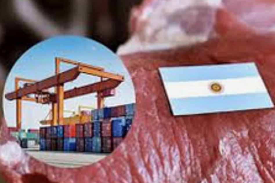 Chile bloqueó carne argentina y endurece controles por el desmantelamiento del Senasa de Sturzenegger