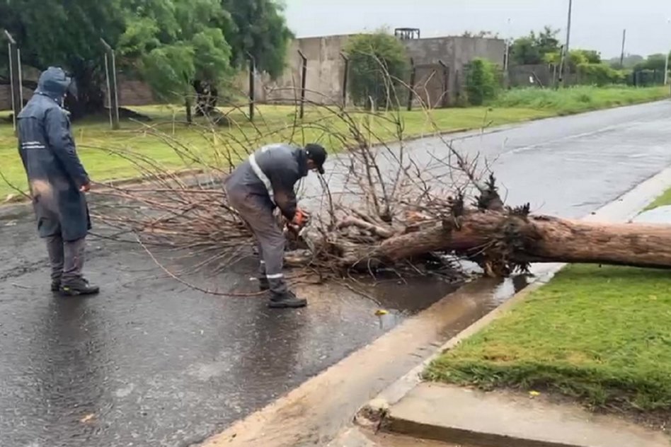 PROTECCIÓN CIVIL El Municipio atiende las contingencias en la ciudad por la lluvia y viento