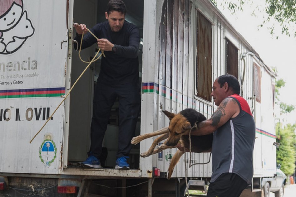 Continúan los operativo de salud Animal en distintos barrios