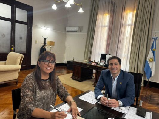 Sintonía fina, gestión y una incógnita hacia 2027: el movimiento de la senadora Domínguez