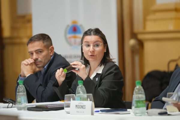 Entre Ríos participó en Corrientes del encuentro de ministros de Salud del Litoral