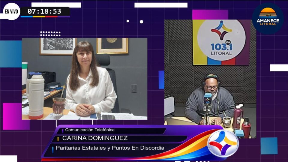 CARINA DOMINGUEZ: Paritarias Estatales y Puntos En Discordia