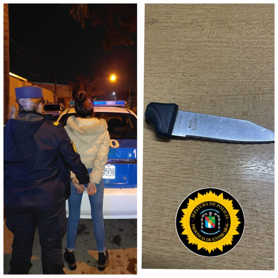 Detuvieron a una mujer tras amenazar con un cuchillo a otra en barrio Paraná V