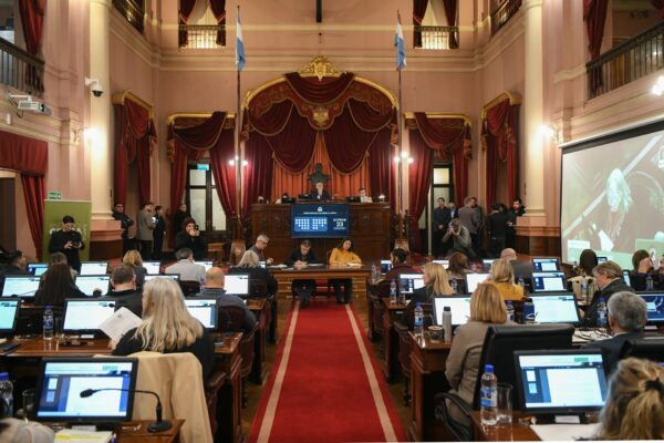 Diputados dio media sanción al proyecto de alivio impositivo para el comercio entrerriano