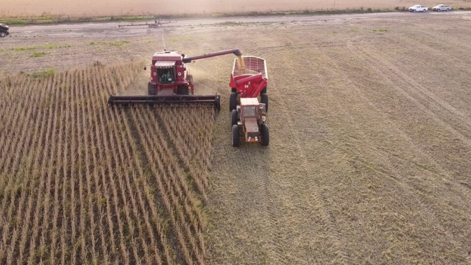 Estadísticas revelan que la provincia logró el mejor rendimiento agrícola de los últimos 25 años