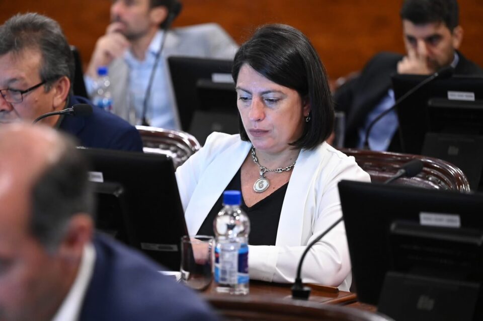Carola Laner: Gestionar mejor para que ningún niño reciba menos