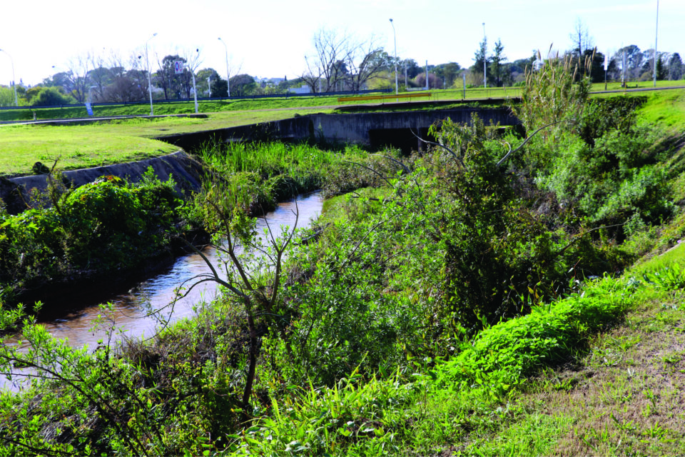 Limpian y desmalezan el desagüe pluvial del Túnel Subfluvial en Paraná