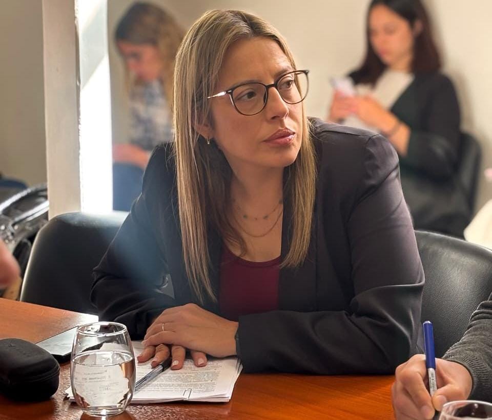 Streitenberger: No podemos defender un sistema que sabemos que no funciona