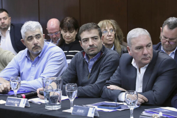 Entre Ríos planteó sus condiciones ante los cambios en la Ley de Salud Mental