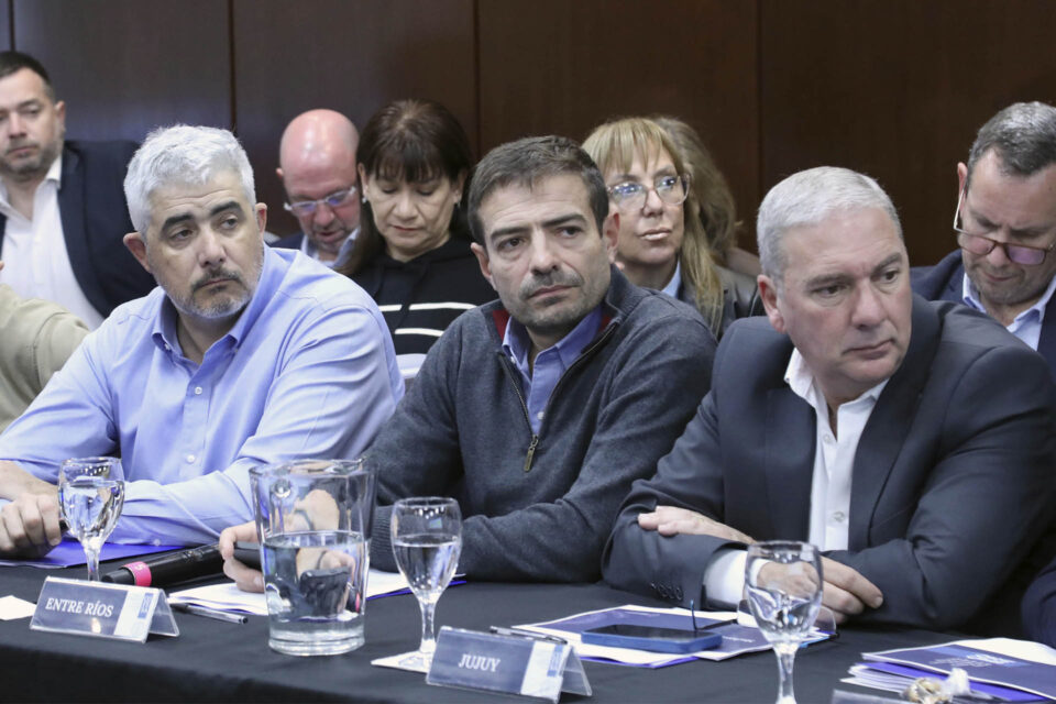 Entre Ríos planteó sus condiciones ante los cambios en la Ley de Salud Mental