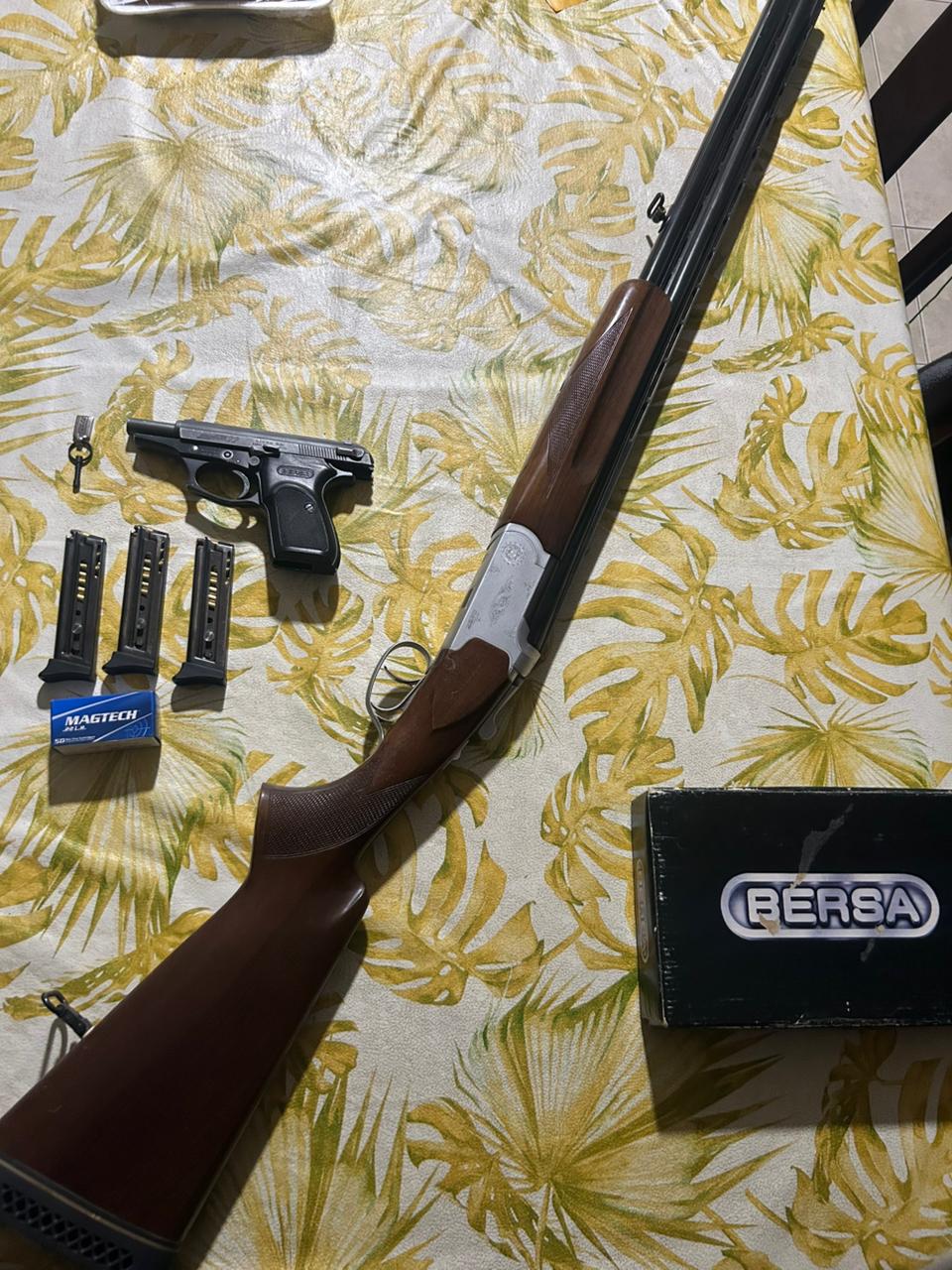 Allanaron una vivienda por una causa de violencia de género y secuestraron dos armas