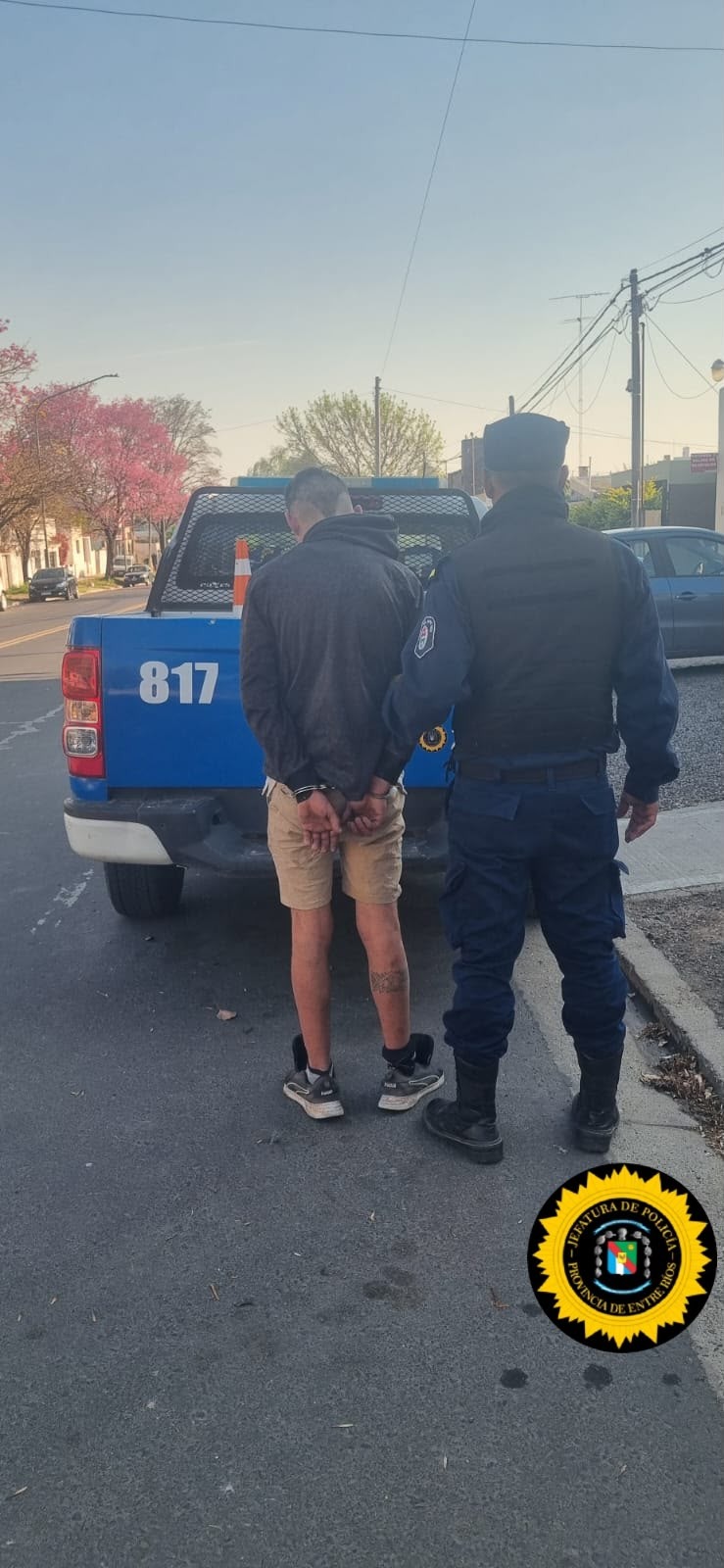 Entró a un comercio, dañó la alarma y movió las cámaras: terminó detenido