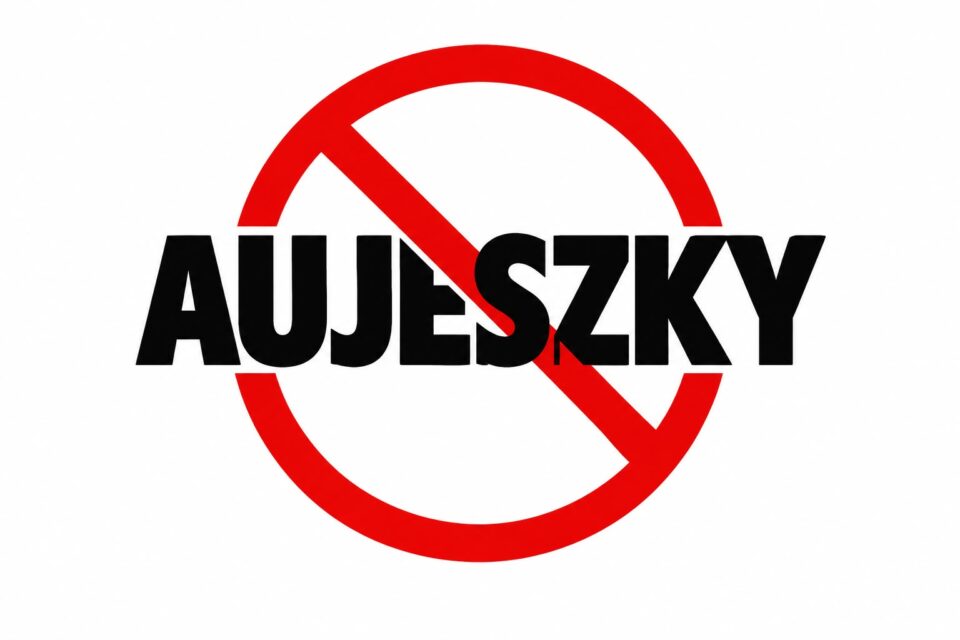Alerta en el sector porcino: advierten sobre brotes de la enfermedad de Aujeszky y denuncian silencio del SENASA